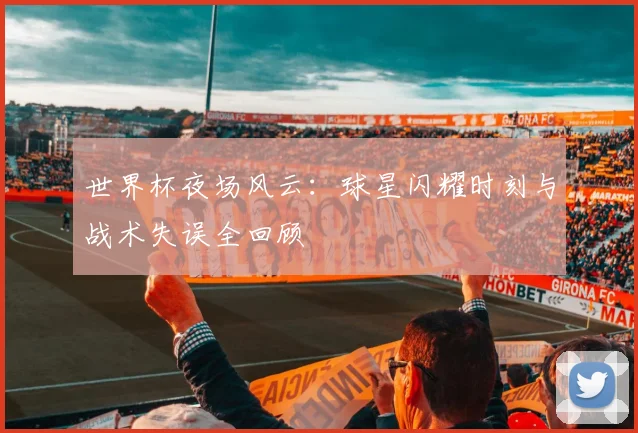 世界杯夜场风云：球星闪耀时刻与战术失误全回顾