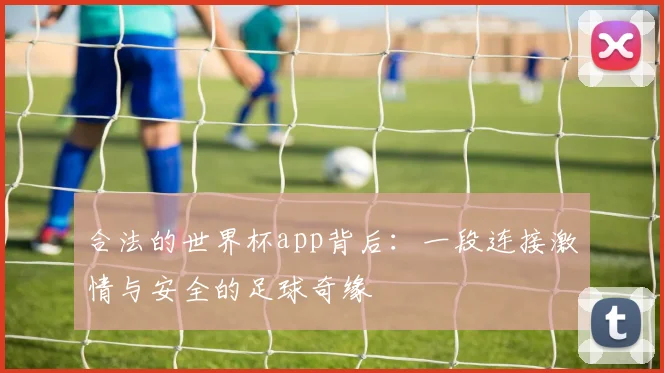 合法的世界杯app背后：一段连接激情与安全的足球奇缘